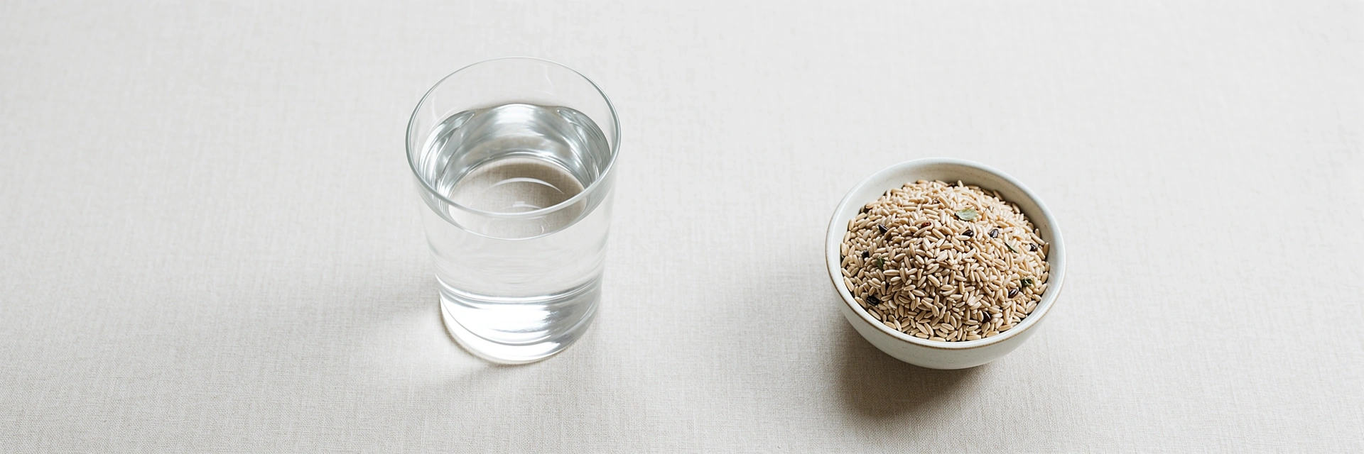 Professionelle Ernährungsberatung Kontext